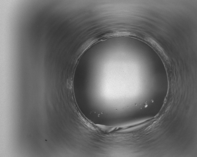 X0000072501193200607290057