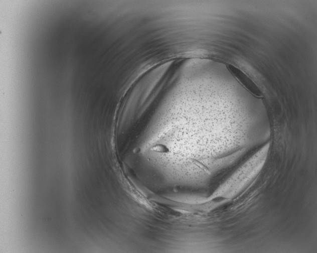 X0000072501194200607290057