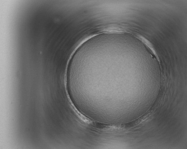 X0000072501195200607290057