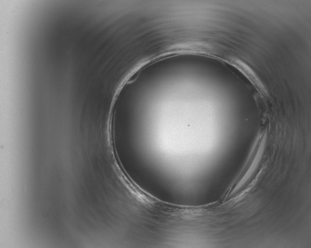 X0000072501196200607290057