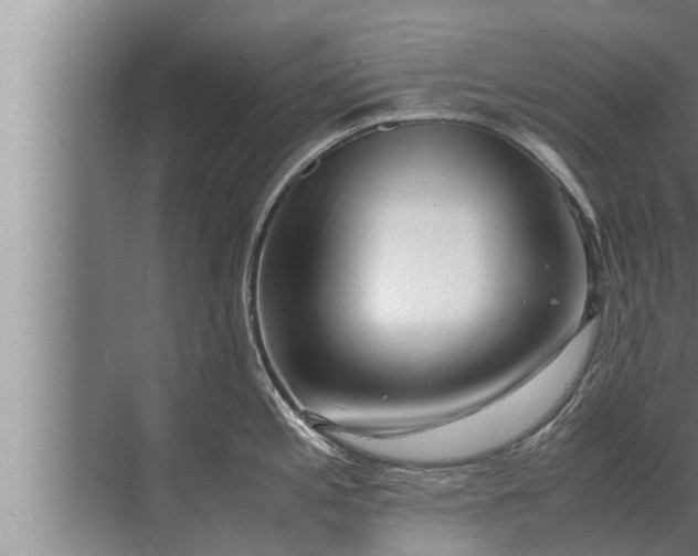 X0000072501197200607290057