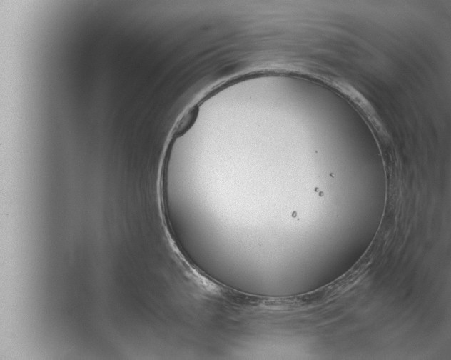 X0000072501199200607290057