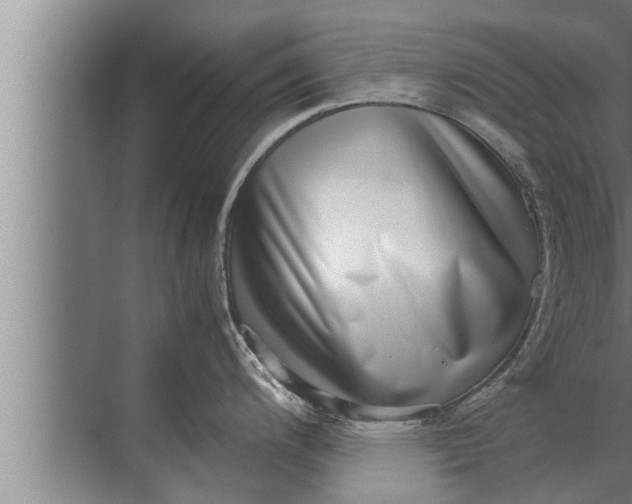 X0000072501200200607290057