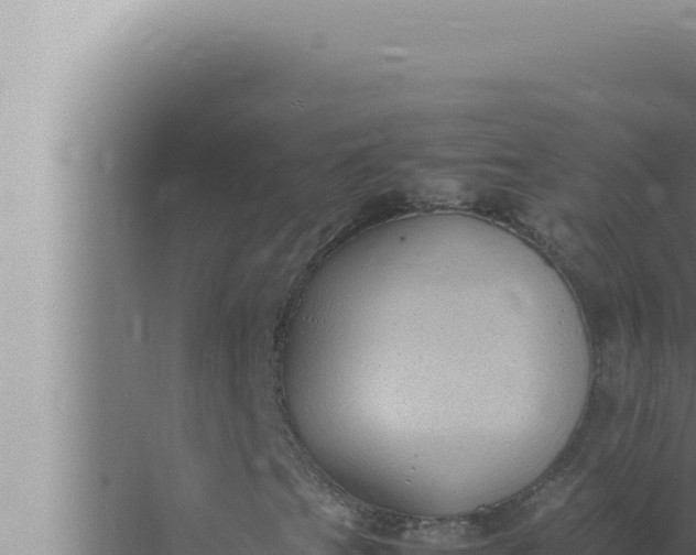 X0000072501201200607290057