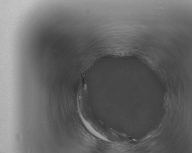 X0000072501202200607290057