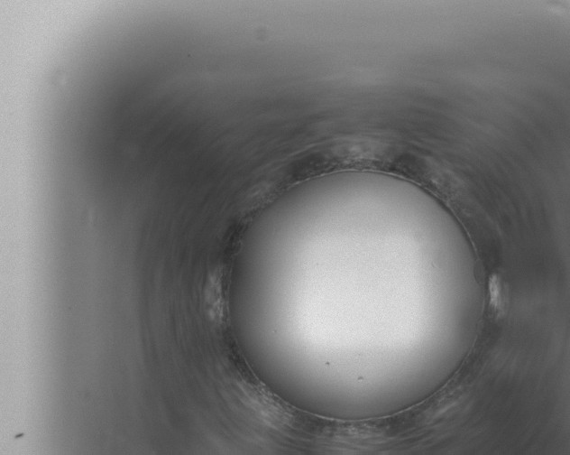 X0000072501203200607290057