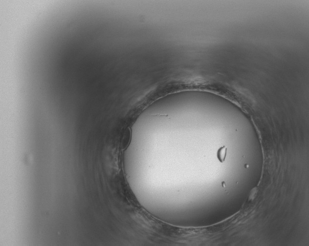 X0000072501205200607290057