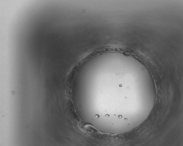 X0000072501207200607290057