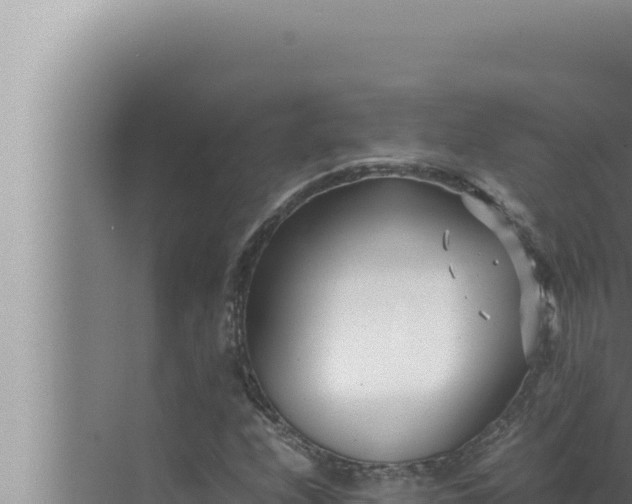 X0000072501208200607290057