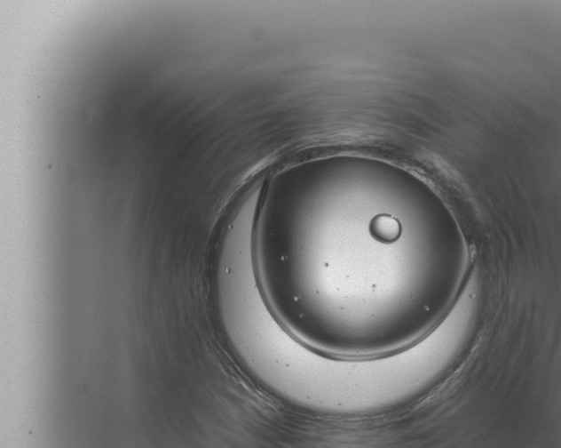 X0000072501210200607290057