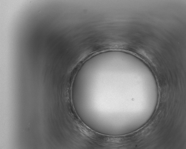 X0000072501211200607290057