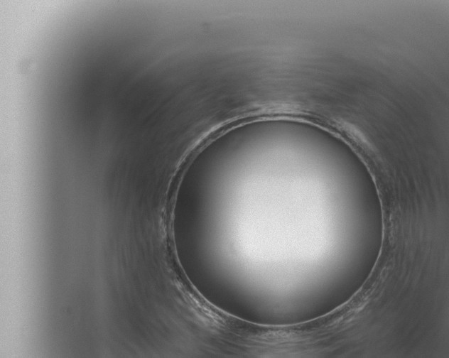 X0000072501212200607290057