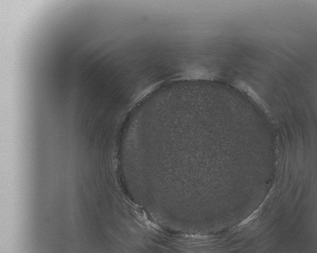 X0000072501213200607290057