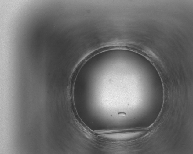 X0000072501216200607290057