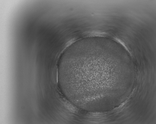 X0000072501219200607290057