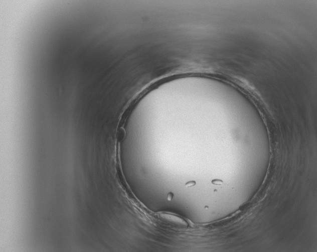 X0000072501220200607290057