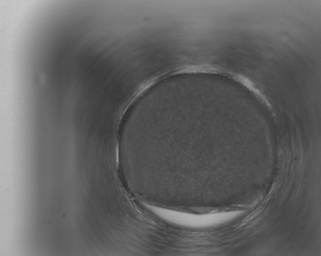 X0000072501221200607290057