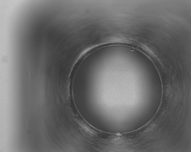 X0000072501222200607290057