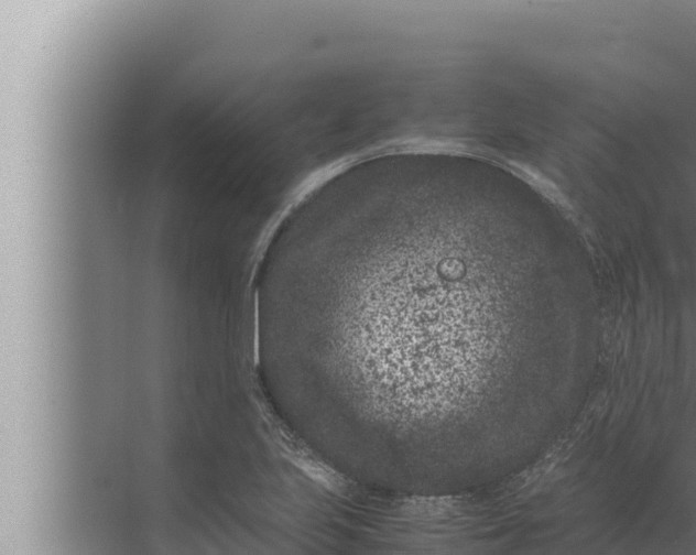 X0000072501223200607290057