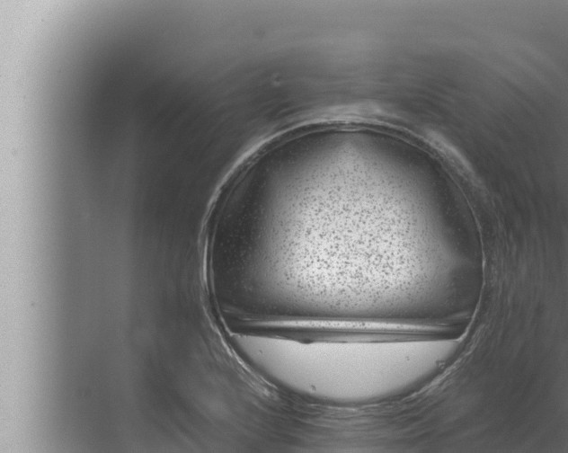 X0000072501224200607290057