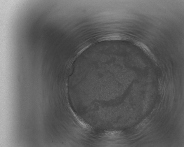 X0000072501225200607290057