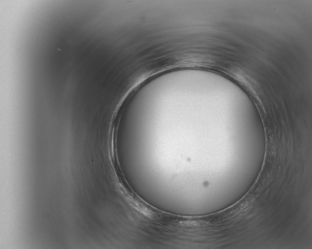 X0000072501227200607290057