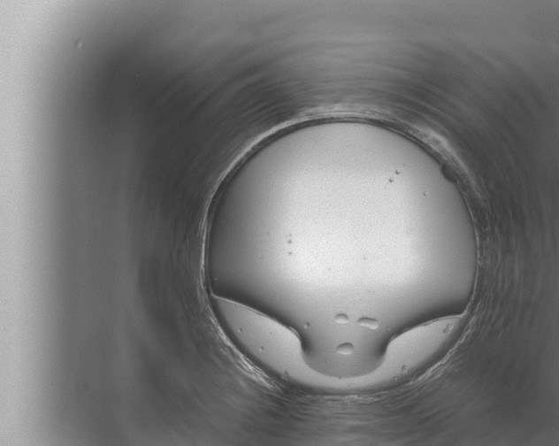 X0000072501228200607290057