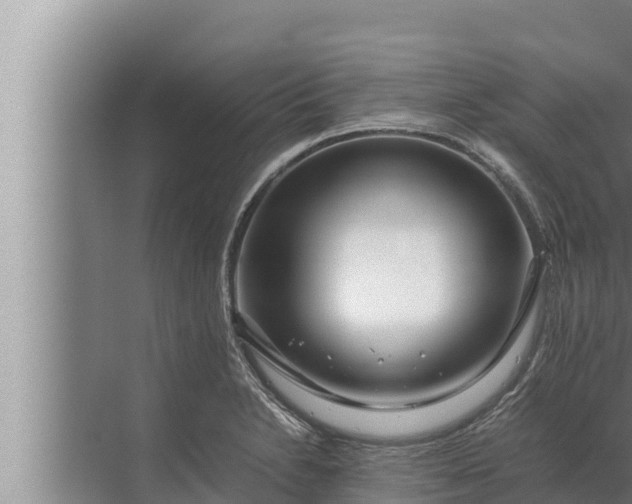 X0000072501230200607290057