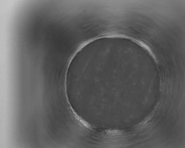 X0000072501231200607290057