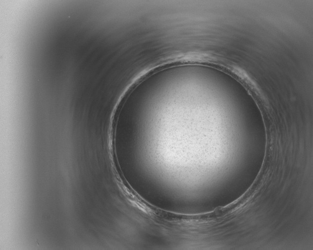 X0000072501232200607290057