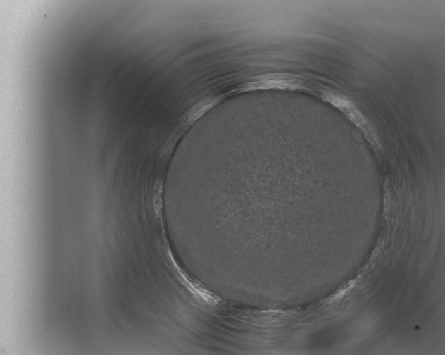 X0000072501233200607290057