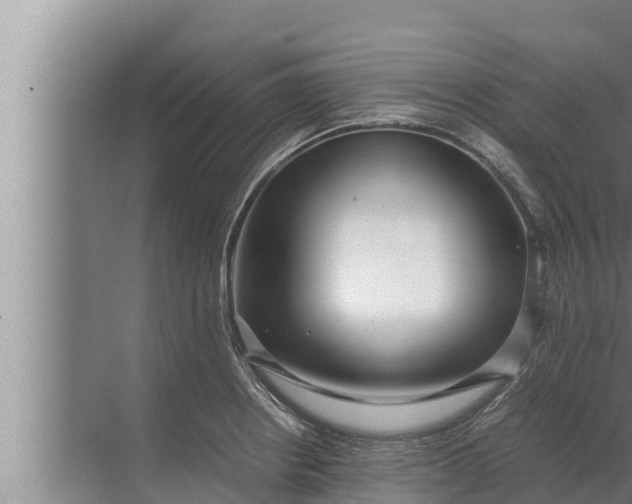 X0000072501234200607290057