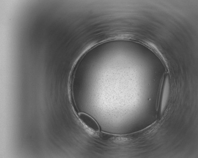 X0000072501235200607290057