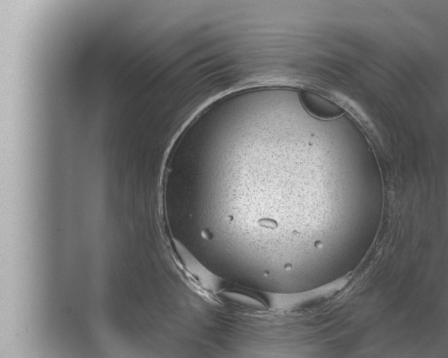 X0000072501236200607290057