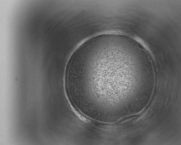 X0000072501237200607290057