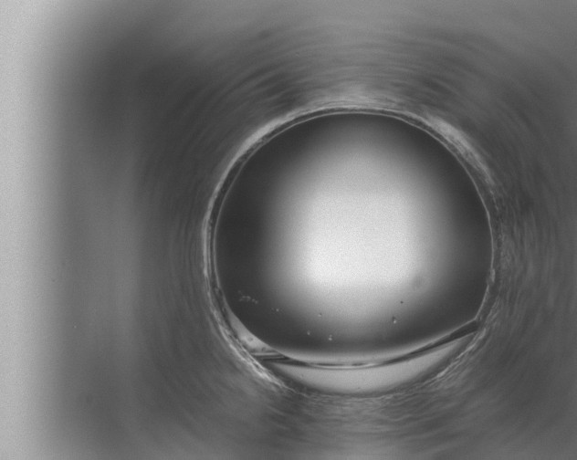 X0000072501238200607290057