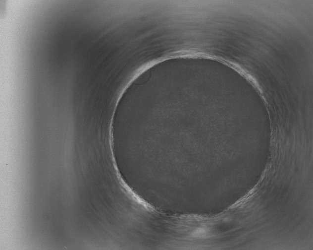 X0000072501239200607290057