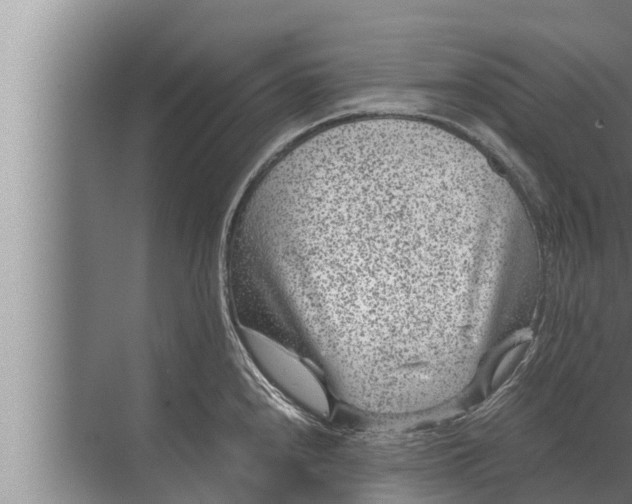 X0000072501240200607290057