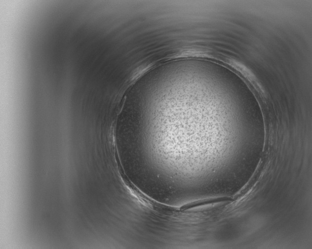 X0000072501241200607290057