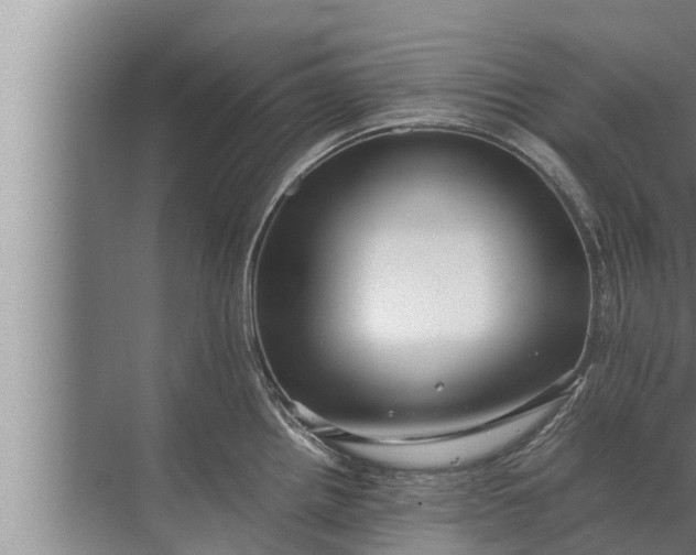 X0000072501242200607290057