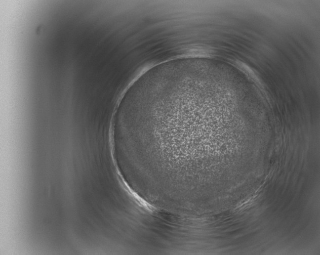 X0000072501243200607290057