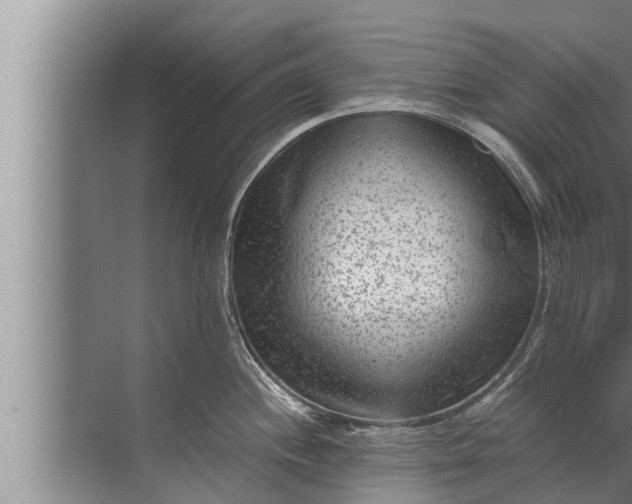 X0000072501244200607290057