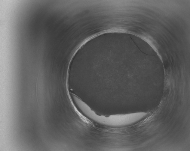 X0000072501245200607290057