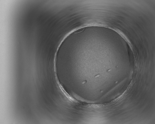 X0000072501246200607290057