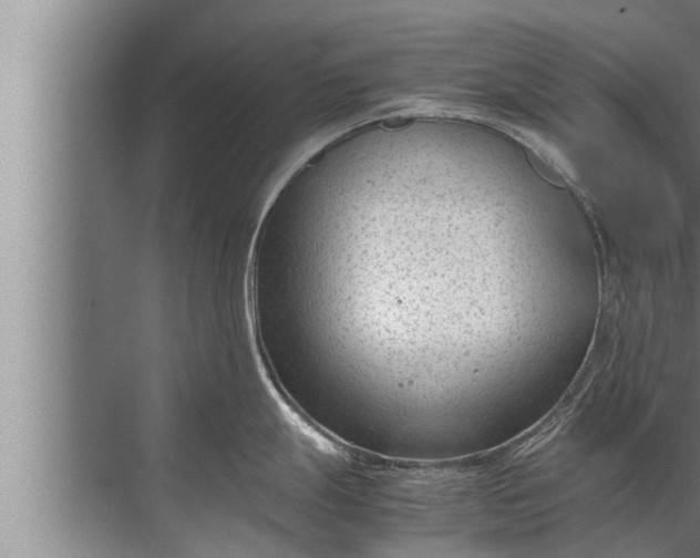 X0000072501247200607290057