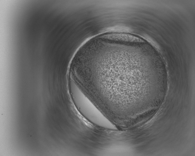 X0000072501248200607290057