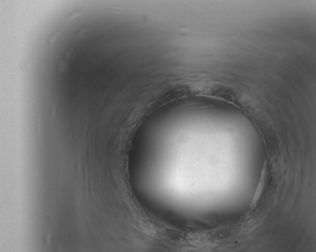 X0000072501249200607290056