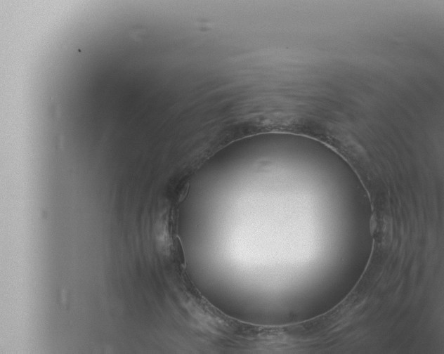 X0000072501250200607290056