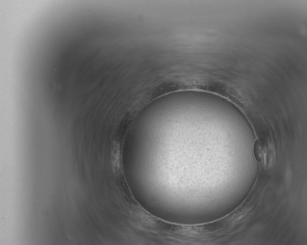 X0000072501251200607290056