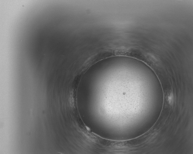 X0000072501252200607290056